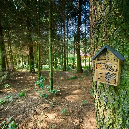 Dom W Ludwikowicach Klodzkich Villa