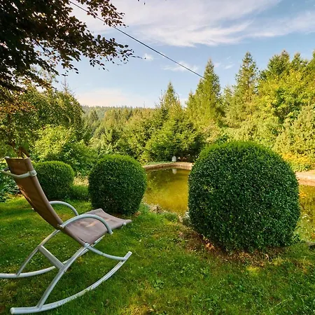 Villa Dom W Ludwikowicach Klodzkich *