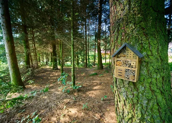 Dom W Ludwikowicach Klodzkich Villa