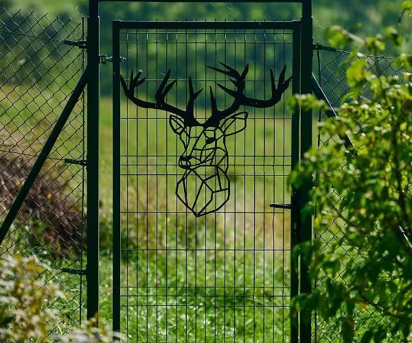 Villa Dom W Ludwikowicach Klodzkich Ludwikowice Klodzkie